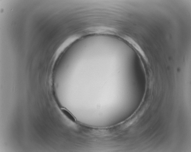 X0000081391285200701252055