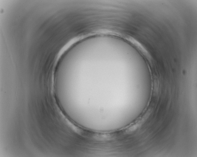 X0000081391286200701252055