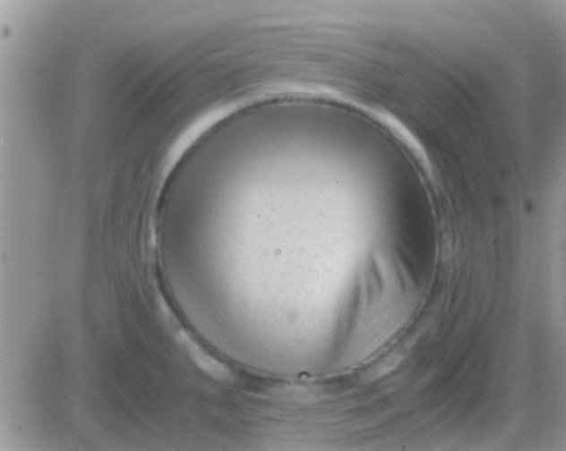 X0000081391287200701252055