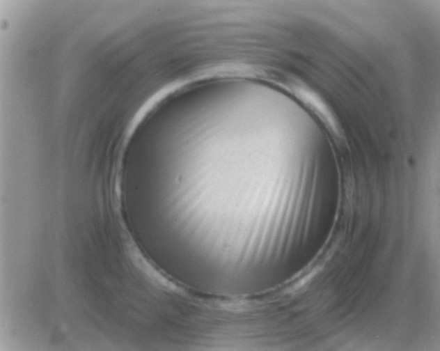 X0000081391288200701252055