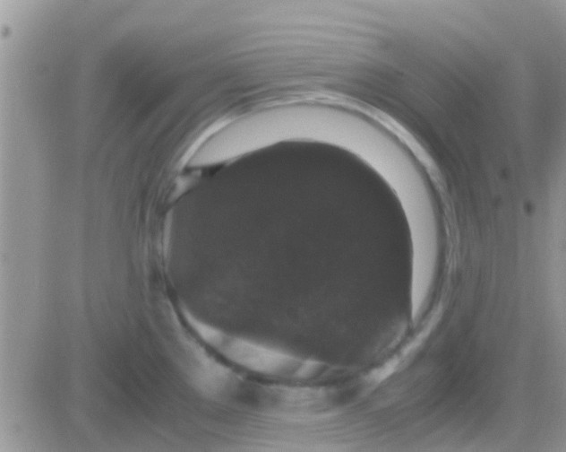 X0000081391289200701252055