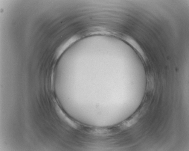 X0000081391290200701252055