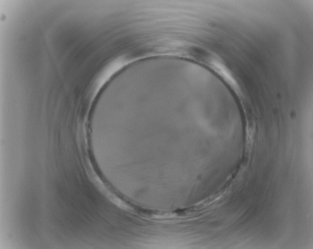 X0000081391291200701252055