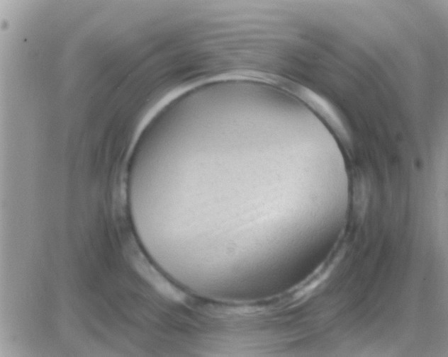 X0000081391292200701252055