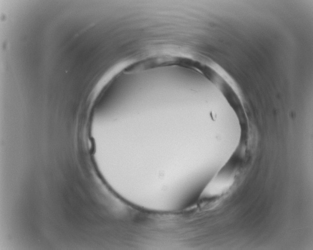 X0000081391293200701252055