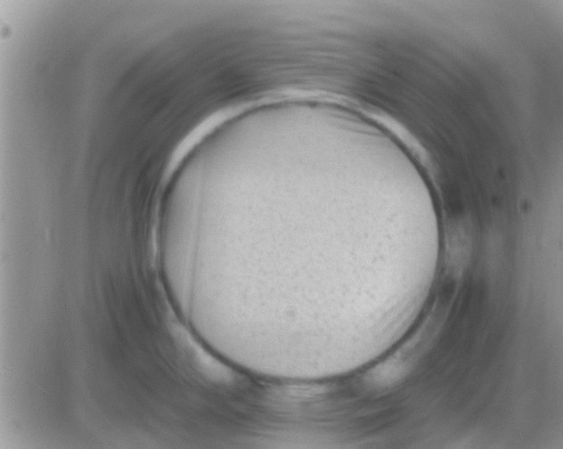 X0000081391294200701252055