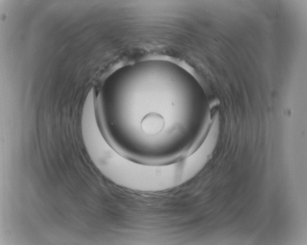 X0000081391298200701252054