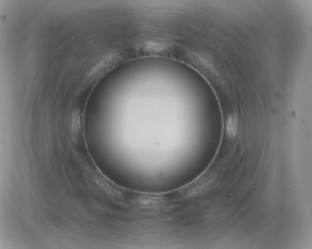 X0000081391299200701252054