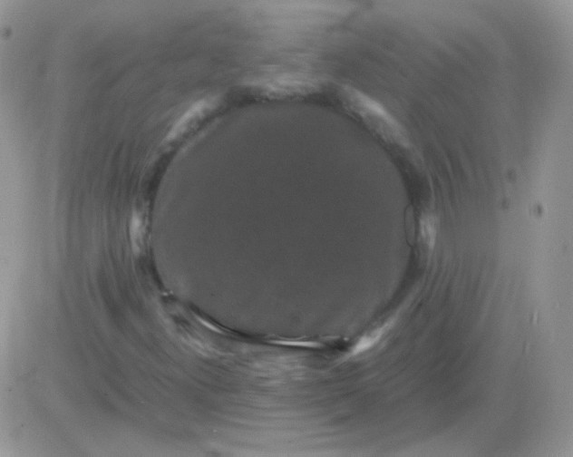 X0000081391300200701252054