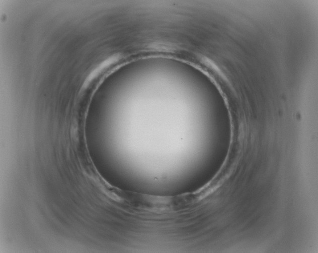 X0000081391307200701252054