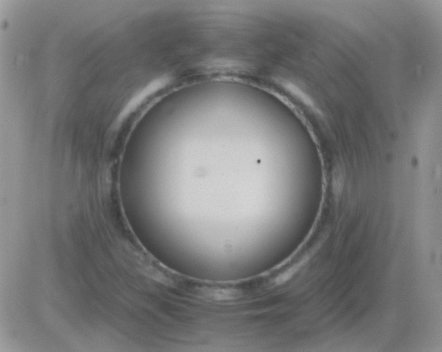 X0000081391309200701252054