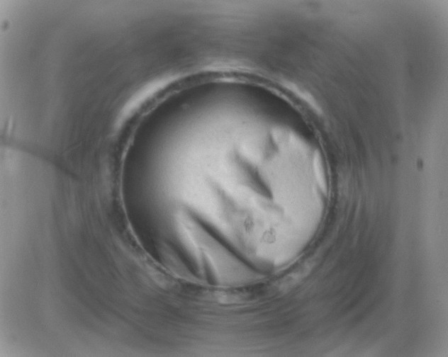 X0000081391311200701252054