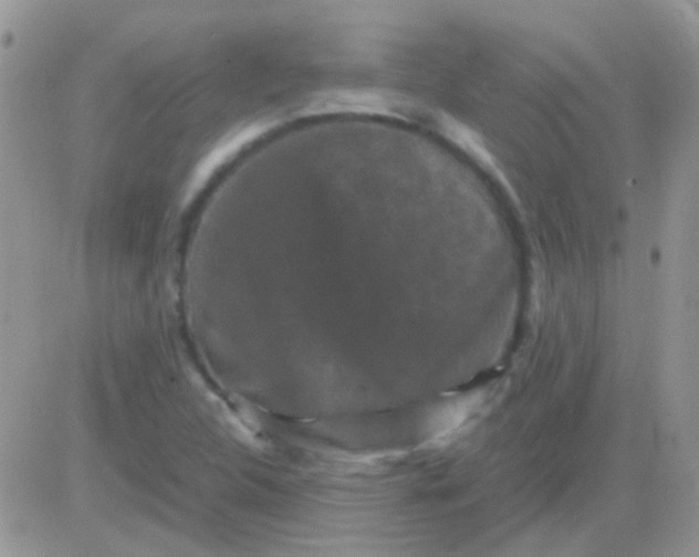 X0000081391312200701252054