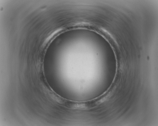 X0000081391313200701252054