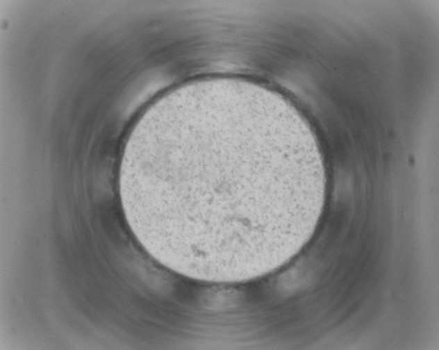 X0000081391314200701252054