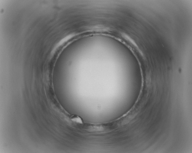 X0000081391315200701252054