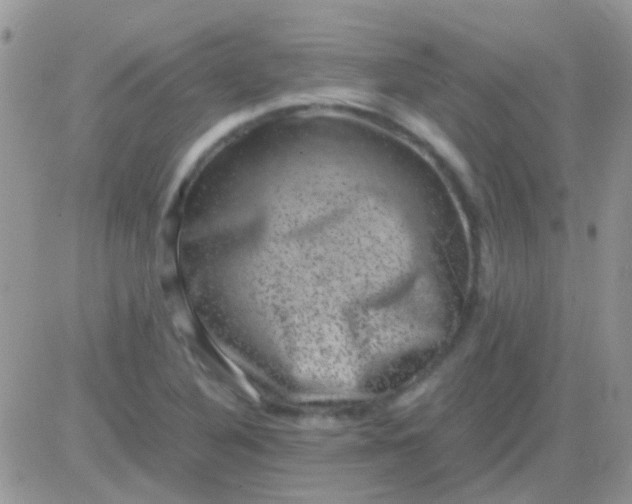 X0000081391316200701252054