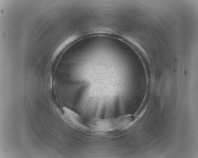 X0000081391317200701252054