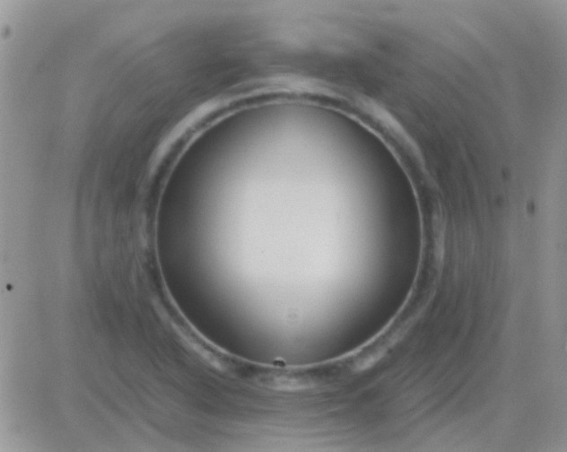 X0000081391318200701252054