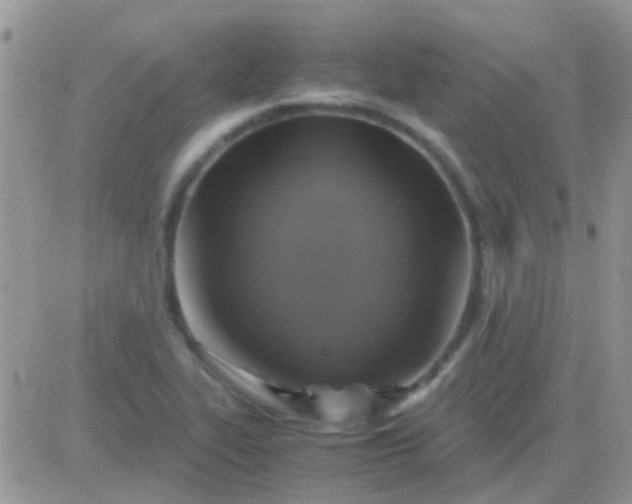 X0000081391319200701252054