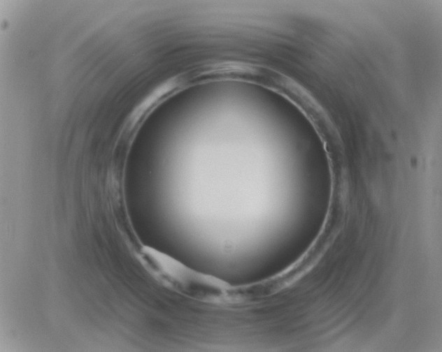 X0000081391321200701252054