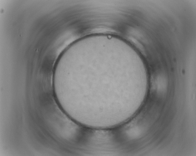 X0000081391322200701252054