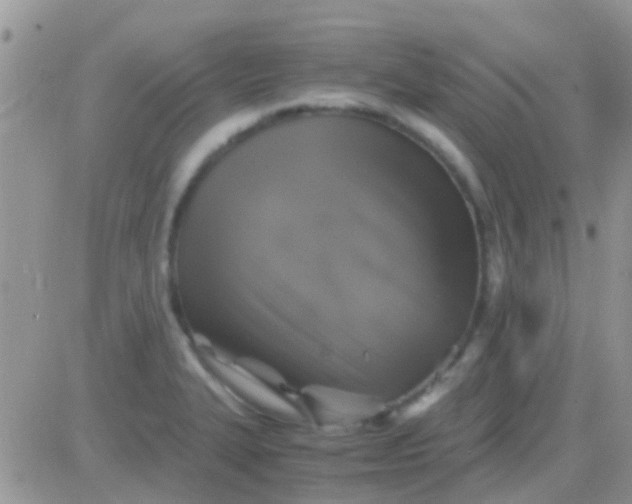 X0000081391327200701252054