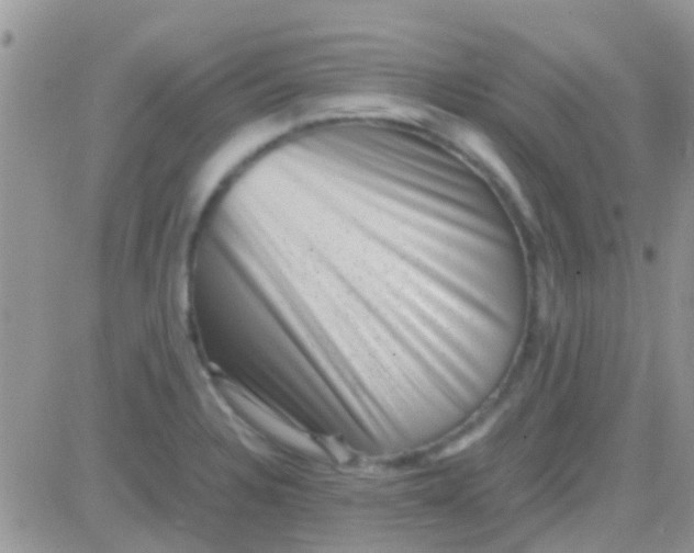 X0000081391328200701252054