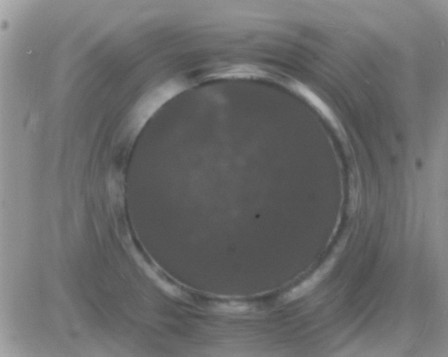 X0000081391329200701252054