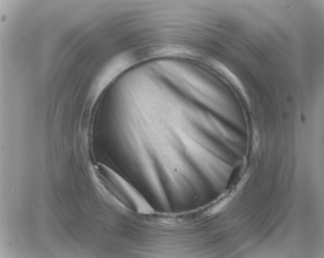 X0000081391330200701252054