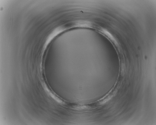 X0000081391331200701252054