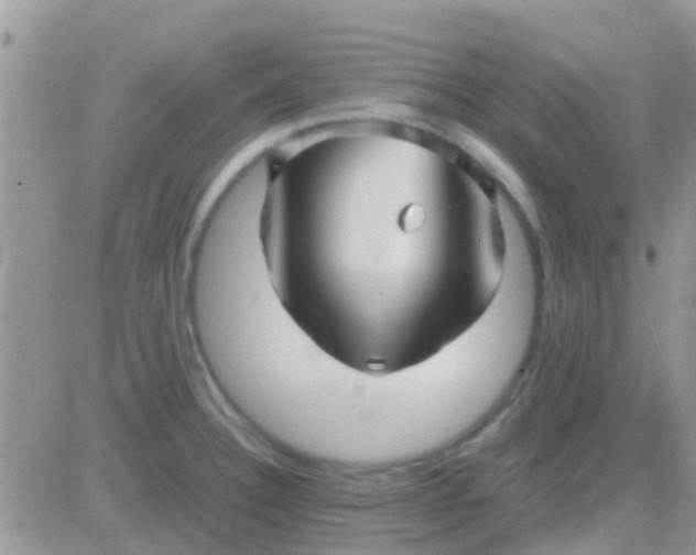 X0000081391332200701252054