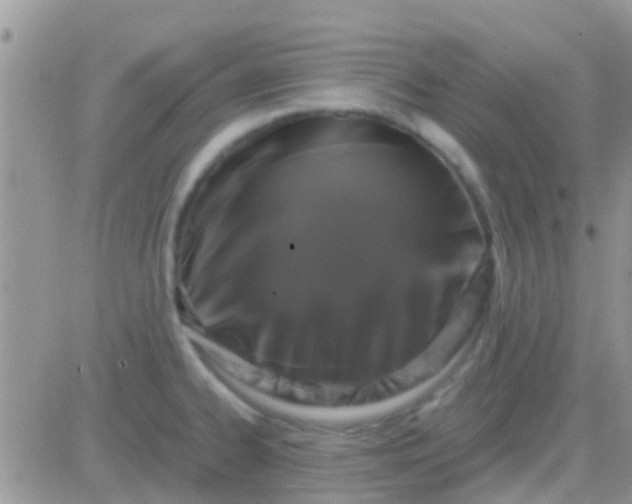 X0000081391334200701252054