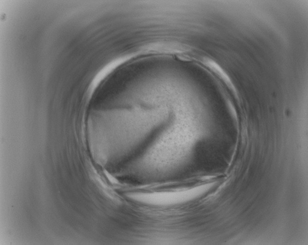 X0000081391336200701252054