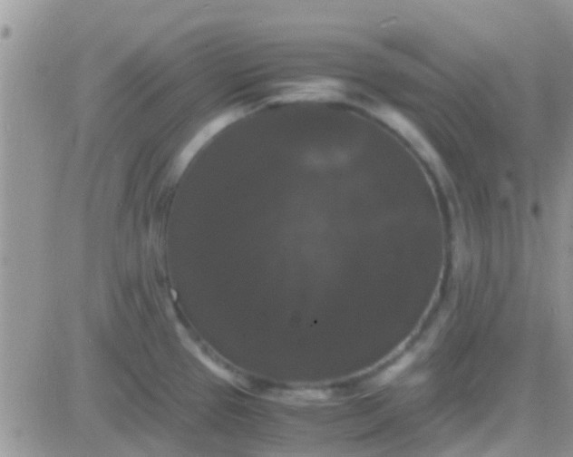 X0000081391337200701252054