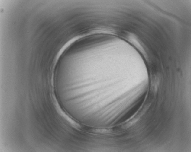 X0000081391339200701252055