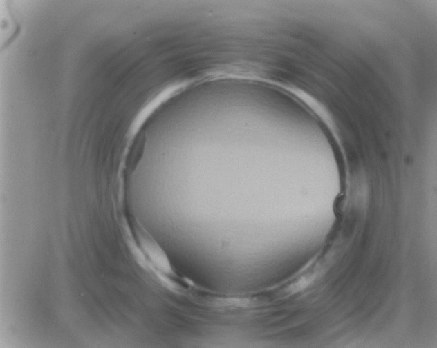 X0000081391341200701252055