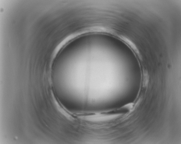 X0000081391342200701252055