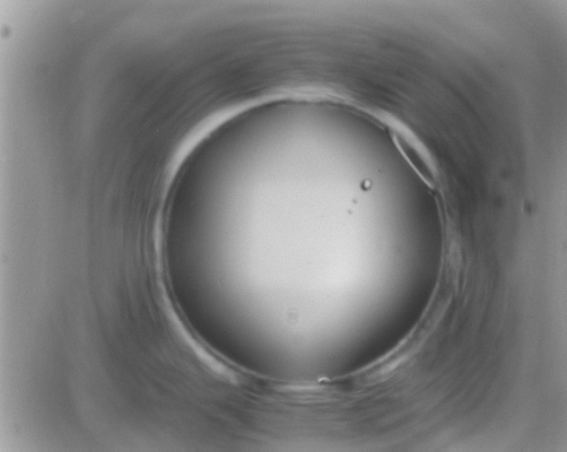 X0000081391343200701252055