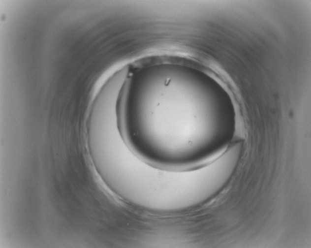 X0000081391344200701252055