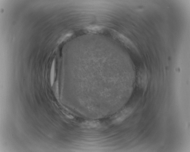 X0000081391346200701252054