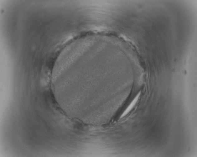 X0000081391349200701252054