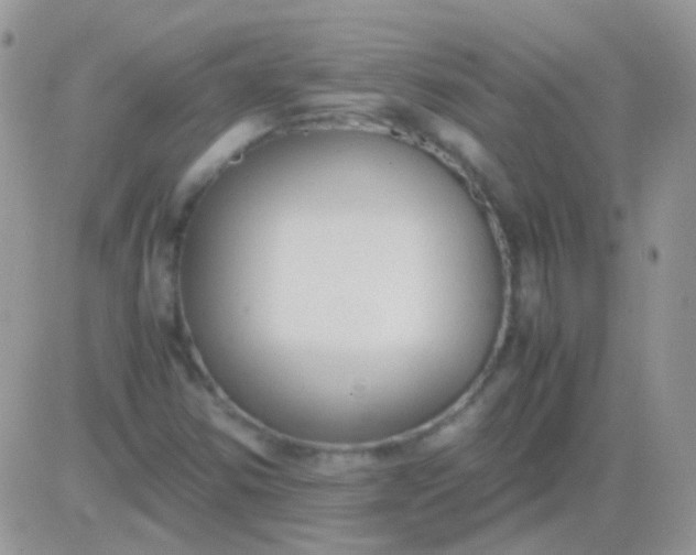 X0000081391354200701252054