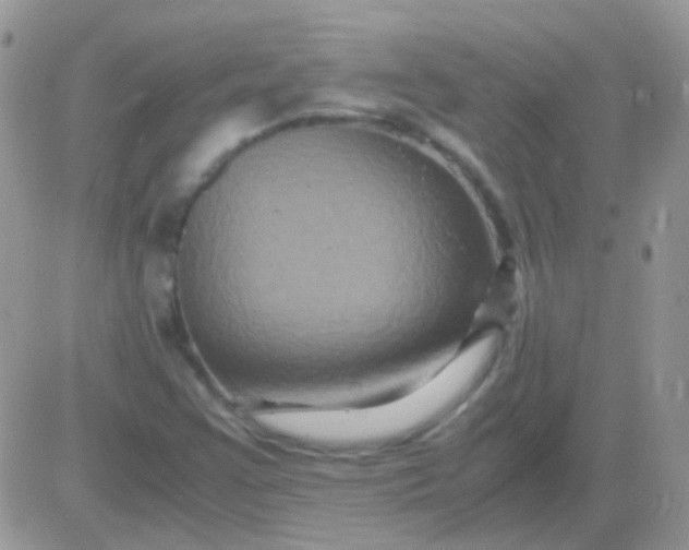 X0000081391355200701252054