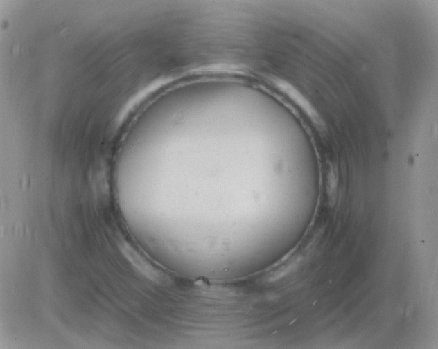 X0000081391356200701252054