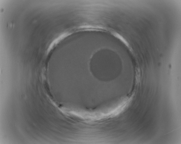 X0000081391357200701252054