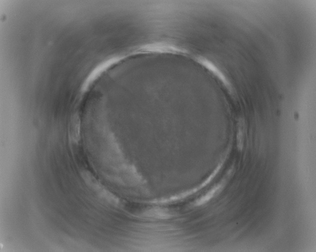 X0000081391358200701252054