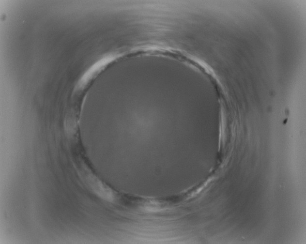 X0000081391359200701252054