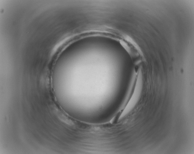 X0000081391360200701252054