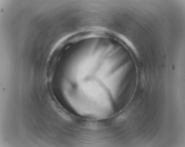 X0000081391364200701252054